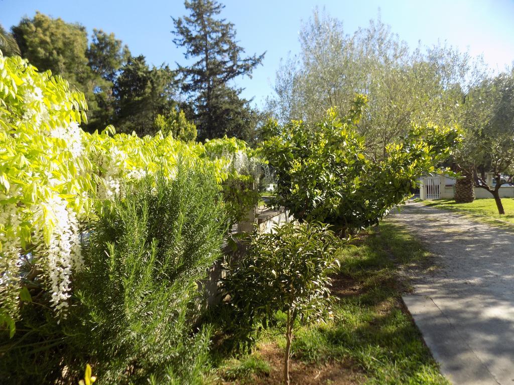 Apartman Cabezas Zadar