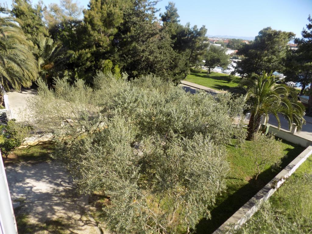 Cabezas Zadar