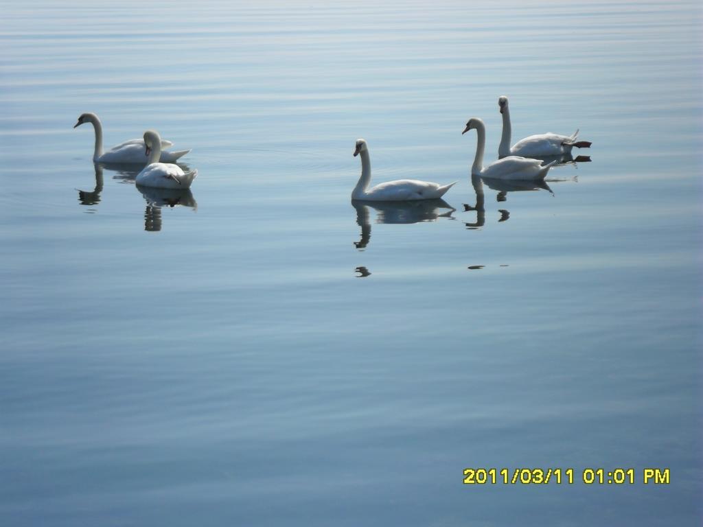 Cabezas * Zadar