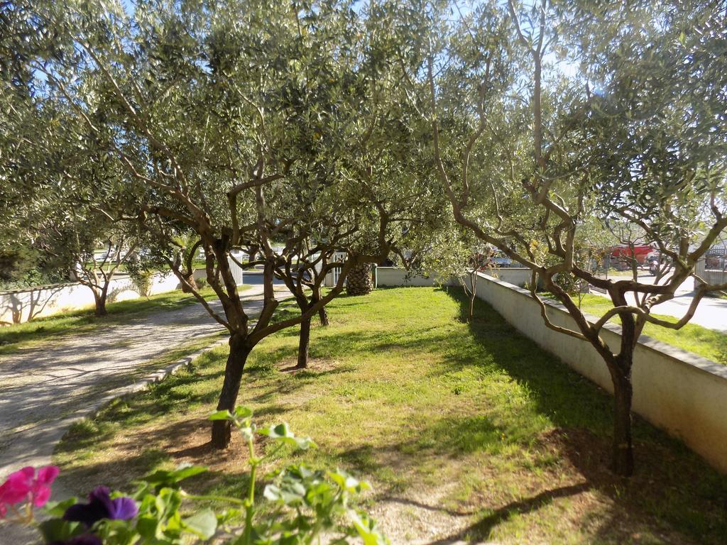 Apartment Cabezas Zadar